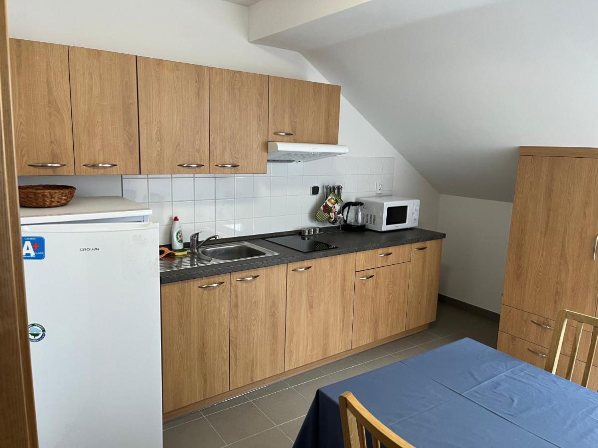Pod Vezi Borovany Apartment *